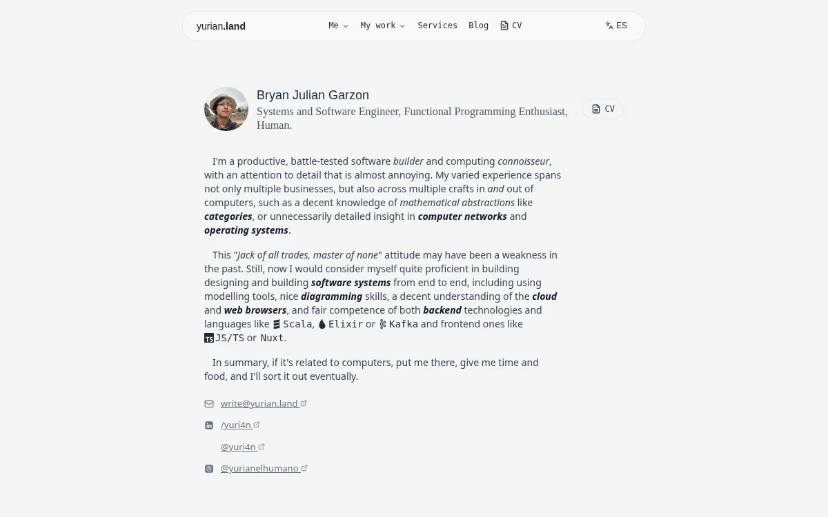 This Website website preview